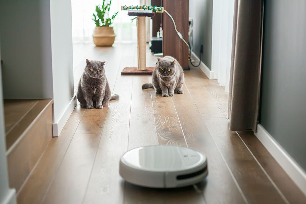 Din robotdammsugare kan städa ännu bättre (men du måste göra dessa 5 saker först)