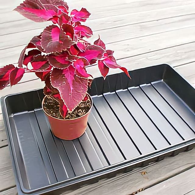 Plantlåda 53x32
